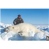 Image 6 : 426 #DIN-26 Polar Bear Hunt, Nunavut