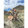 Image 3 : 427 #DIN-27 Altai Ibex Hunt, Mongolia