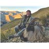 Image 2 : 508 #SLA-08 Himalayan Bull Tahr Hunt for TWO Hunters and TWO Non-Hunters,  New Zealand