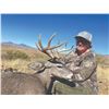Image 2 : 515 #SLA-15 Coues Deer Hunt for Two Hunters (with Free Mountain Lion Bonus),  Arizona