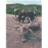 Image 2 : 516 #SLA-16 Iberian Mouflon Sheep, Iberian Red Deer, or Fallow Deer Hunt for TWO Hunters, Spain
