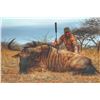 Image 1 : 525 #SLA-25 Hunting Safari Package, Limpopo