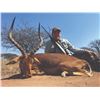 Image 2 : 525 #SLA-25 Hunting Safari Package, Limpopo