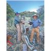 Image 2 : 560 #SLA-60 Five-Day Trophy Mountain Lion Hunt, Arizona
