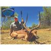 Image 2 : 561 #SLA-61 Ten-Day Hunting Safari for THREE Hunters, South Africa