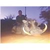Image 3 : 5111 #SLA-111 Plains Game Hunt Package, South Africa