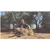 Image 5 : 5111 #SLA-111 Plains Game Hunt Package, South Africa