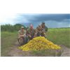 Image 2 : 5118 #SLA-118 Dove Hunt for FOUR, Argentina