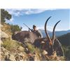 Image 2 : 5123 #SLA-123 Ringed Horned Slam Safari for EIGHT Species,  South Africa
