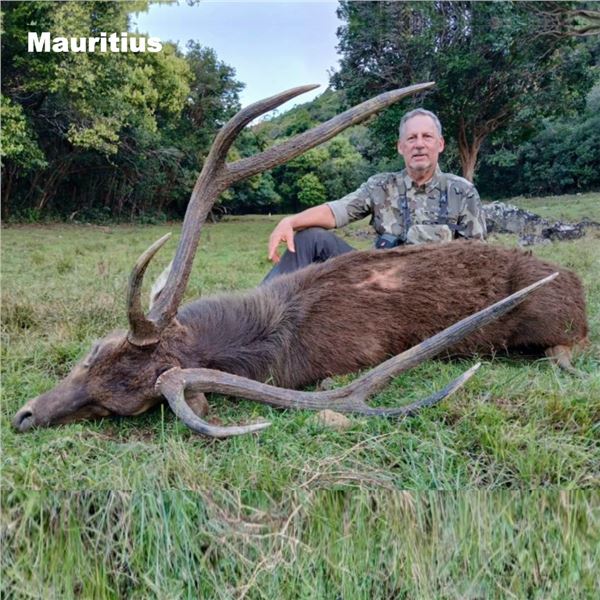 Epic Hunting Adventure for 2 Hunters for Mauritius Rusa Deer and an African Safari