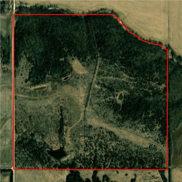 Nebraska Turkey Hunt for Up to 4 Hunters