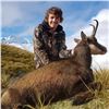 Image 2 : Alpine Chamois Hunt in New Zealand