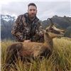 Image 3 : Alpine Chamois Hunt in New Zealand