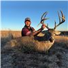 Image 5 : Whitetail Deer Hunt with Steve Hornady