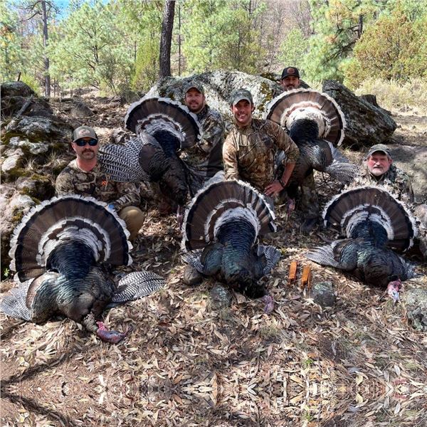 Gould’s Turkey Hunt in Mexico