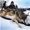 Image 4 : Wolf Hunt in Alberta for 2 Hunters