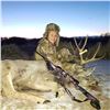 Image 2 : New Mexico Youth Mule Deer Hunt