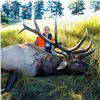 Image 2 : Nebraska Game & Parks Commission 2025 Bull Elk Permit
