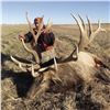 Image 3 : Nebraska Game & Parks Commission 2025 Bull Elk Permit