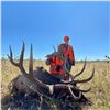 Image 4 : Nebraska Game & Parks Commission 2025 Bull Elk Permit