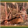 Image 5 : Nebraska Game & Parks Commission 2025 Bull Elk Permit