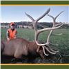 Image 6 : Nebraska Game & Parks Commission 2025 Bull Elk Permit