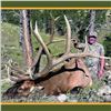 Image 7 : Nebraska Game & Parks Commission 2025 Bull Elk Permit