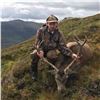 Image 1 : Traditional Scottish Highlands Red Stag and Sika Stag Hunt for up to 3 Hunters
