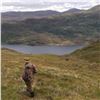 Image 6 : Traditional Scottish Highlands Red Stag and Sika Stag Hunt for up to 3 Hunters