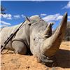 Image 1 : Rhino Hunt For 1 Hunter and 1 Observer