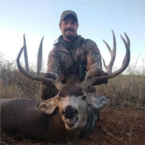 Arizona Coues or Mule Deer Hunt for 2 Hunters