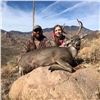 Image 2 : Arizona Coues or Mule Deer Hunt for 2 Hunters