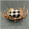 Image 3 : Moose Antler Log/Magazine/Blanket Rack