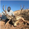 Image 1 : 5-Day Desert Mule Deer Hunt in Mexico