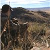 Image 2 : 5-Day Desert Mule Deer Hunt in Mexico