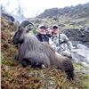 Image 2 : Bull Tahr Hunt in New Zealand