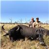 Image 6 : Water Buffalo & Wild Boar Hunt for 2 Hunters in Argentina