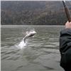 Image 2 : Sturgeon Fishing for 2 Anglers in British Columbia