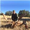 Image 3 : Up to 10 Days of Hunting in Spain