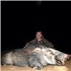 Image 3 : 10-Day South African Safari for One Hunter and One Observer with Four Trophies