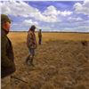Image 4 : Argentina Mixed Bag Wingshooting Hunt For 4 Hunters