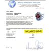 Image 6 : 2.31 ctw UNHEATED Red Sapphire and 1.17 ctw Diamond 14K White Gold Ring