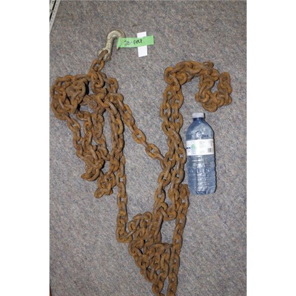 20' lifting chain