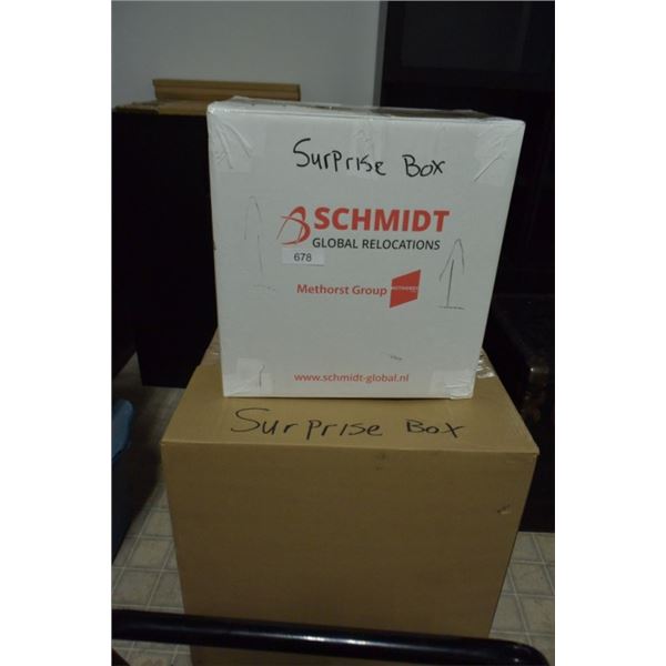 2 surprise boxes