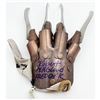 Image 1 : Robert Englund Autographed "Freddy Krueger" Glove frozen pond