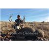 Image 1 : Arizona Mule Deer hunt – archery hunt, 6 days