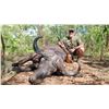 Image 1 : Safari in Niassa, Northern Mozambique for Cape Buffalo