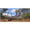 Image 1 : Safari in South Africa, Limpopo – 2 Nyala Bulls for 2 Hunters