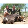 Image 1 : Safari in South Africa, Limpopo- Waterbuck