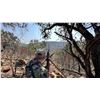 Image 1 : Safari in South Africa – 2 hunters / 2 observers